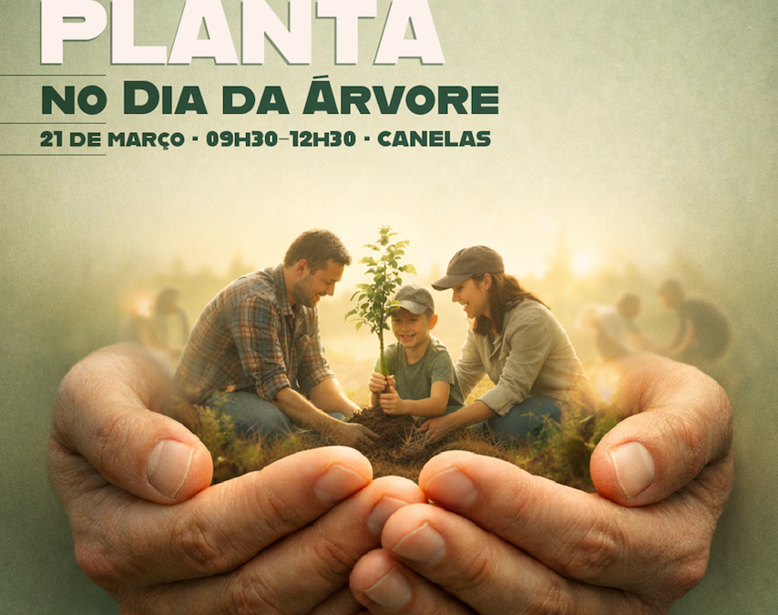 Estarreja plantou no Dia da Árvore