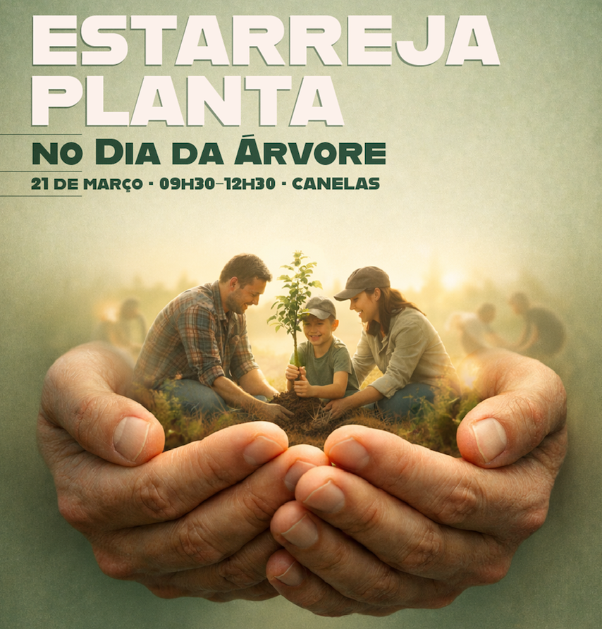 Estarreja plantou no Dia da Árvore